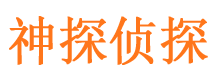 江东侦探公司